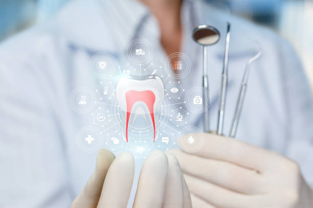 Best Dental X-Rays and Imaging  in Litchfield, IL